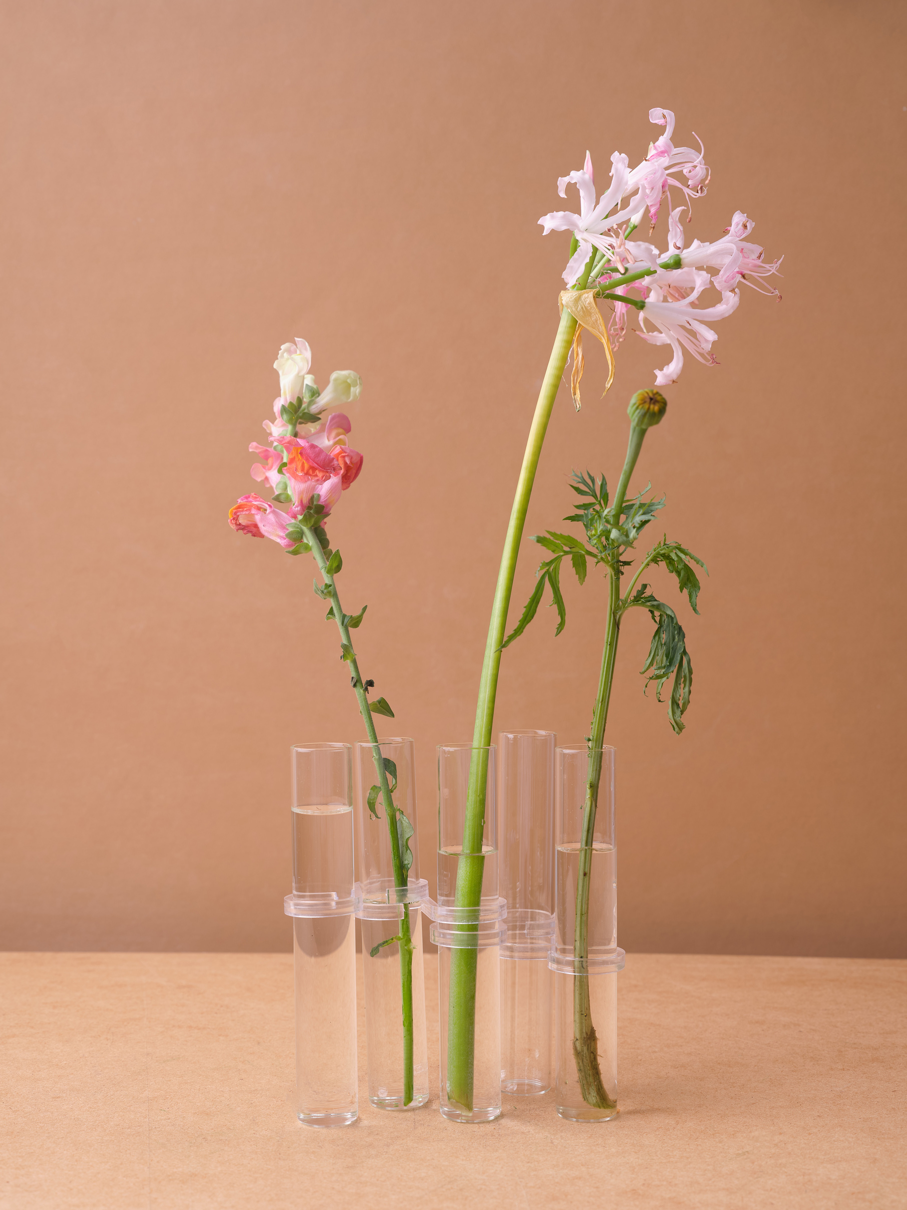 Flowers in Vases